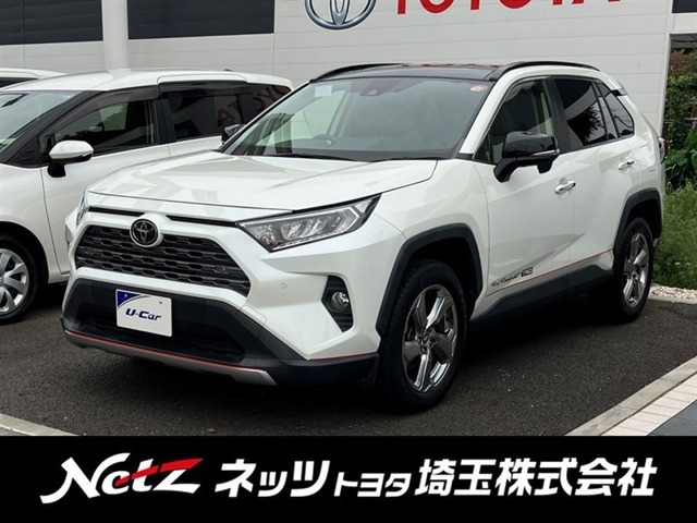 RAV4 2.0 G 4WD