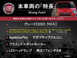 500X  クロス