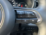 登録した速度に保ち走行するレーダークルーズコントロール付き。高速やバイパスでの運転支援に役立つ便利アイテムです!