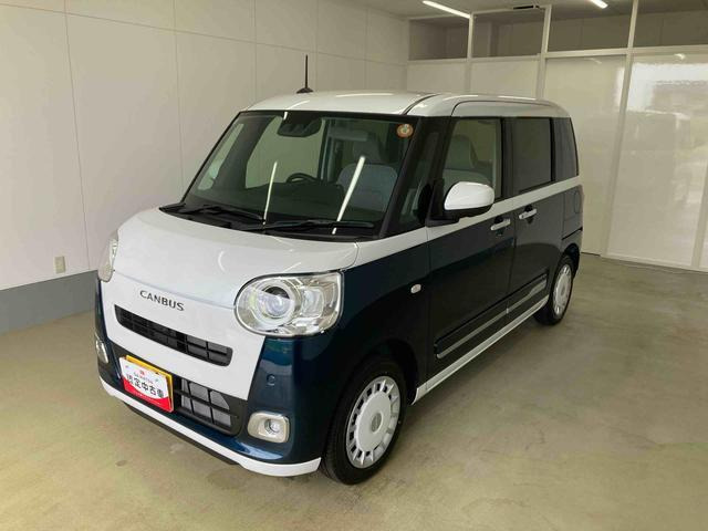 ムーヴキャンバス  ストライプス G