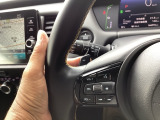 マニュアル車のような感覚で、ワインディングロードでも車を操れるパドルシフト付きです。長い下り坂でのエンジンブレーキや、高速道路の合流の際の加速も思いのままに操ることができ楽しめます