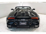 Rear Logo Silver