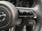 レーダークルーズコントロールを装備。アクセルやブレーキを操作しなくても、自動で先行車との車間距離を保ち追従走行できます。長距離や高速道路を運転する際に、ドライバーへの負担を軽減します。