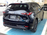 ドアミラーの表示で、隣の車線を走る車の接近を知らせるブラインド・スポット・モニタリングを備えます。車線変更時に見落としやすい斜め後方を確認する手助けとなり、運転者の安全確認を支えます。