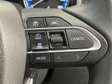 ステアリングスイッチ付き。前方から目を離すことなく操作することが可能です。