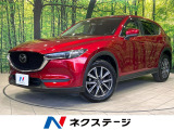 純正ナビ バックカメラ 衝突軽減装置 レーダークルーズ