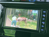 停車時にテレビ番組を視聴できるTV画面を搭載。休憩時間や待ち合わせの際に、ちょっとした情報をチェックできます。
