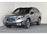 只 商品化準備中!