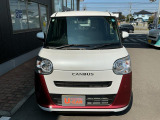 ムーヴキャンバス  ストライプス X