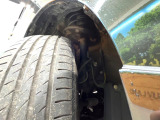 お車を安心してお乗りいただく為には、足回りの定期点検が欠かせません。サービスサポート(有償保証)では無料点検もご提供しており、安心のカーライフをお過ごしいただけるサポート体制が整っています。