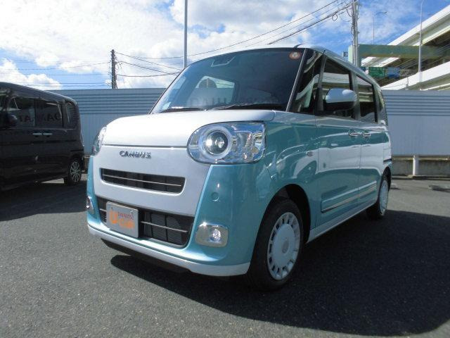 ムーヴキャンバス  ストライプス G