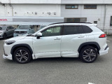 燃費性能と走行性能を高い次元で両立させたモデルです