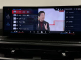 純正地デジTV