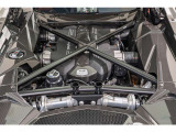 Carbon fiber engine bay trim