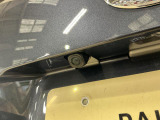 写真を見て気になった方、今がチャンスです!