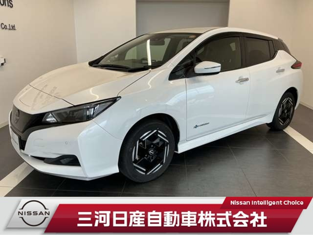 リーフ e+ X 
