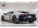 Exterior details carbon fiber