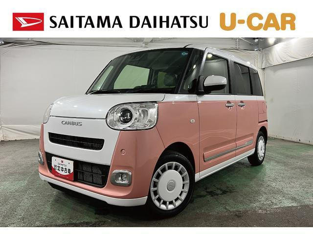 ムーヴキャンバス  ストライプス G