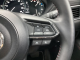 ミリ波レーダーで低速域〜高速域まで、先行車との車間を維持しながら追従走行を可能にします。長距離走行などでドライバーの負担を軽減します。