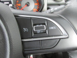 クルーズコントロールで高速での運転がラクになります(^_^.)