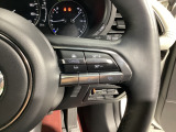 追従型クルーズコントロール付!高速道路走行時にアクセルやブレーキを操作することなく、前方車との車間距離を保つよう自動で車速をコントロールします。