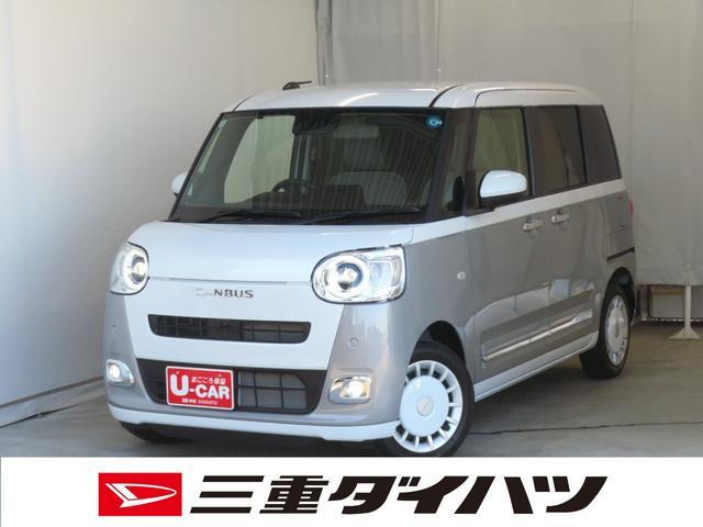 ムーヴキャンバス  ストライプス G
