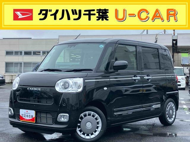 ムーヴキャンバス  セオリー G