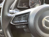 ステアリング左にはオーディオ系システムがまとまっており、運転中の快適性をサポートしてくれます。