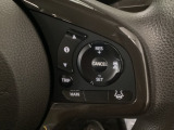 【アダプティブ・クルーズ・コントロール】前車追従機能や加速・減速も自動で制御します。