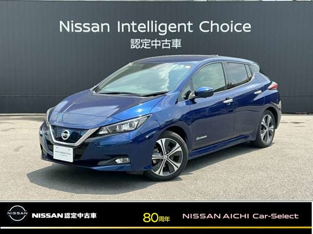 リーフ G 