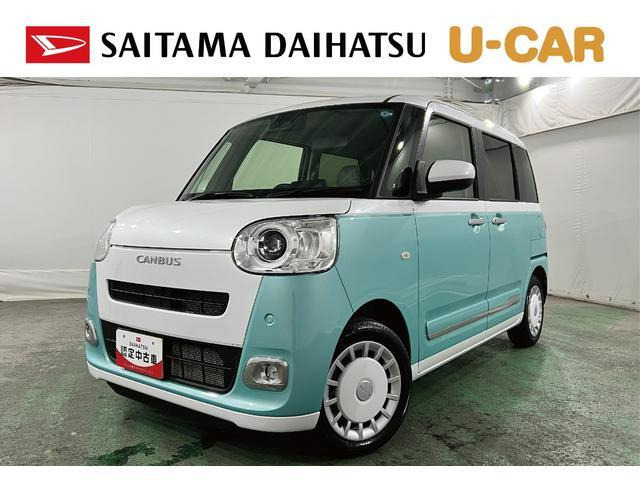ムーヴキャンバス  ストライプス G