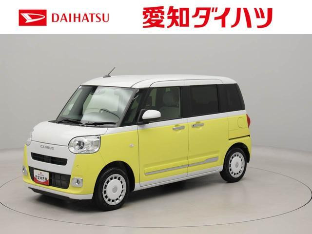 ムーヴキャンバス  ストライプス G