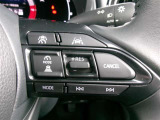 クルーズコントロールで一定速度をキープできます。運転の疲労も軽減してくれ、燃費節約にも役立ちます。ロングドライブの頼もしい味方ですね。
