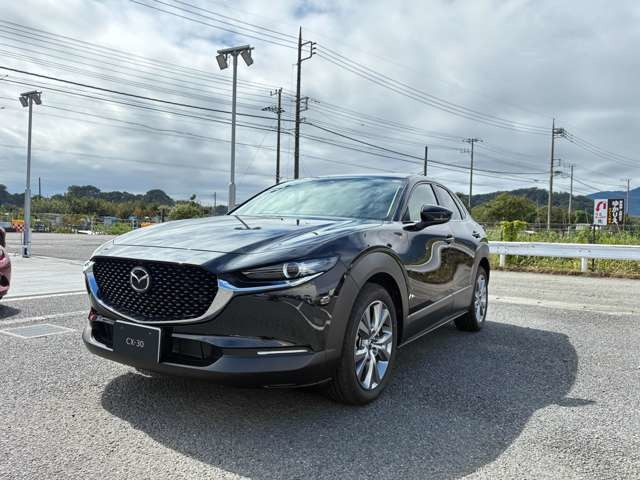 CX-30 2.0 20S i セレクション