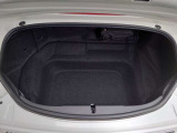 独立型トランク。深さと奥行きを確保しています。