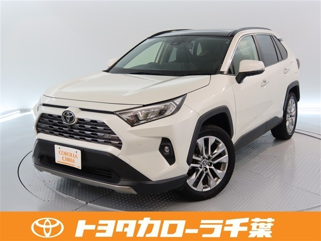 RAV4 2.0 G Zパッケージ 4WD