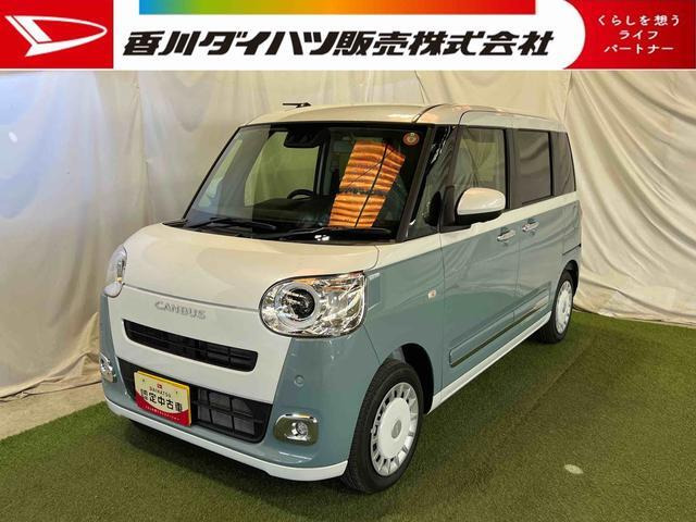 ムーヴキャンバス  ストライプス G