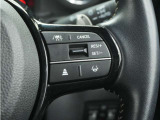 ◆アダプティブクルーズコントロール◆予め設定した車速内でクルマが自動的に加減速。前走車との適切な車間距離を維持しながら追従走行します。【LKAS】車線維持支援システムでステアリング操作を支援。