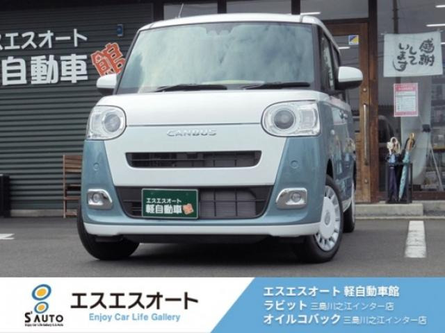 ムーヴキャンバス  ストライプス G