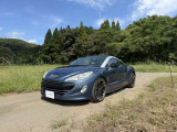 遠目の撮影です。全体の雰囲気を見てください。