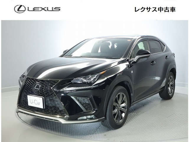 NX 300 Fスポーツ 