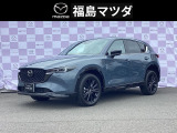 【見つめるたび、美しい表情に惹きつけられます。マツダ・CX-5】