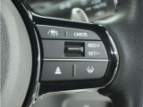 ◆アダプティブクルーズコントロール◆予め設定した車速内でクルマが自動的に加減速。前走車との適切な車間距離を維持しながら追従走行します。【LKAS】車線維持支援システムでステアリング操作を支援。