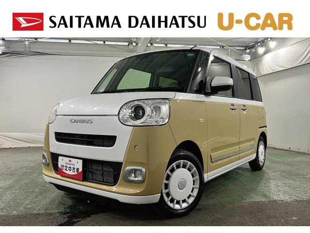 ムーヴキャンバス  ストライプス G