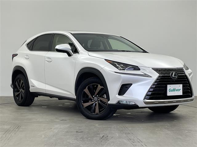 NX 300h バージョンL 本革シート サンルーフ