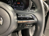 レーダークルーズコントロールは先行車との車間を維持しながら追従走行を行い、長距離でのドライバー負担を軽減させてくれます。