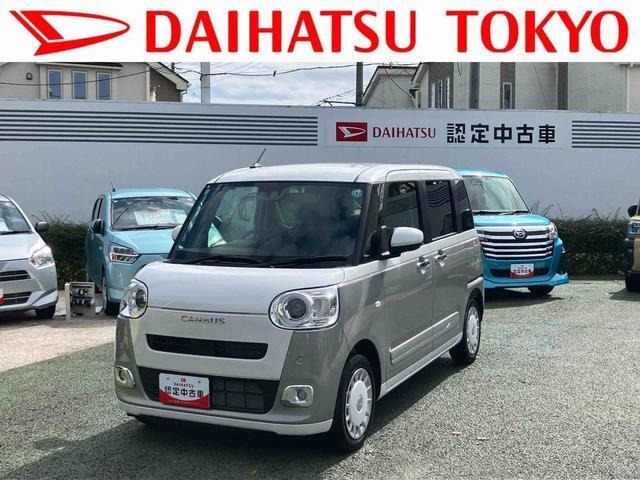 ムーヴキャンバス  ストライプス G