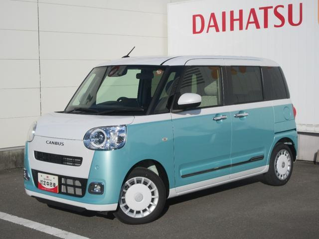 ムーヴキャンバス  ストライプス G