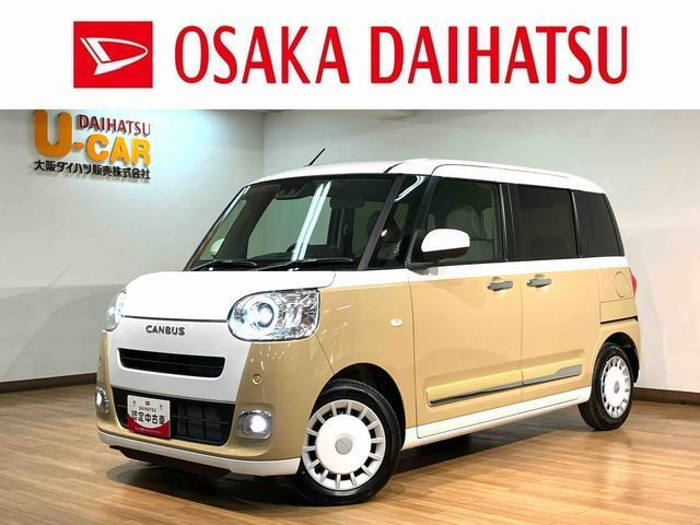 ムーヴキャンバス  ストライプス G