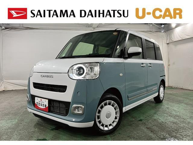 ムーヴキャンバス  ストライプス G